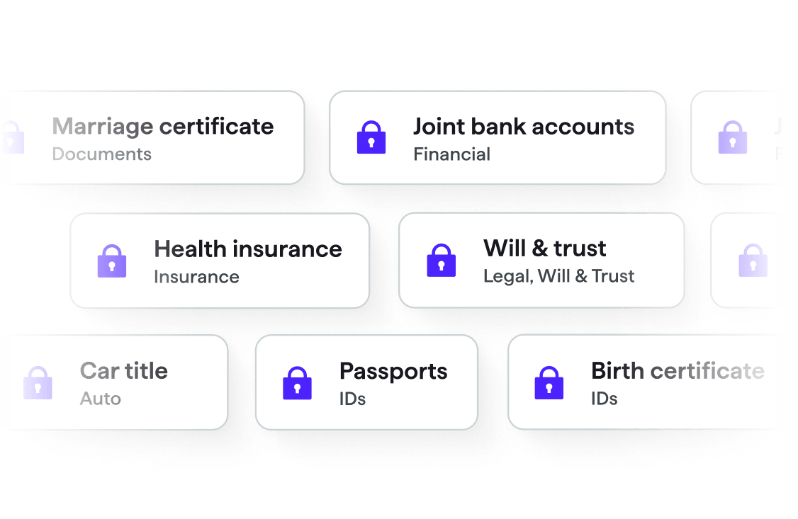 An overview of LifeHub's secure categorization of essential information like IDs and certificates.