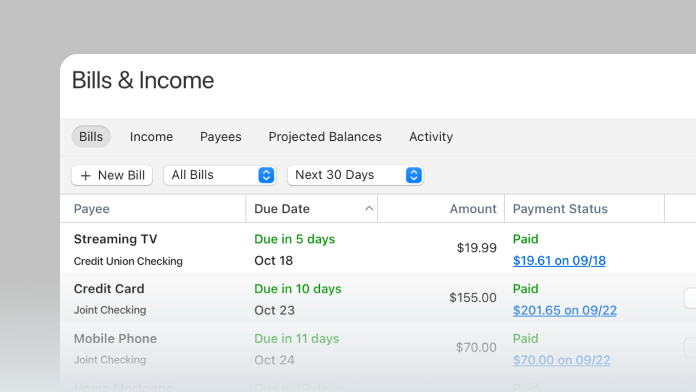 A graph of bills and income which has different tabs like bills, income, payees, projected balances, and activity.